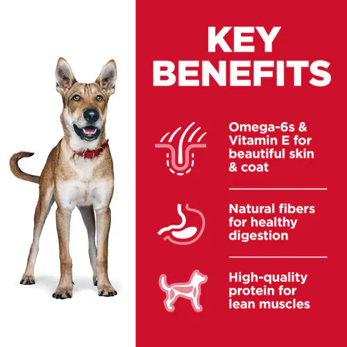 Hill's Science Diet Adult Chicken & Barley Recipe Dry Dog Food Bag