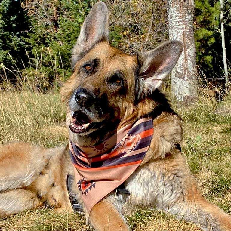 Walk-e-Woo Sport Bandana - Grand Mesa