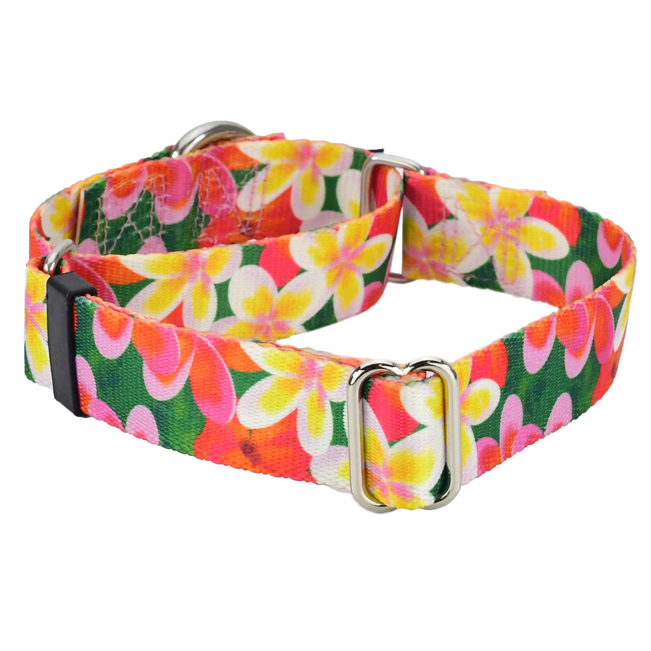 Aloha Martingale Dog Collar – EarthStyle