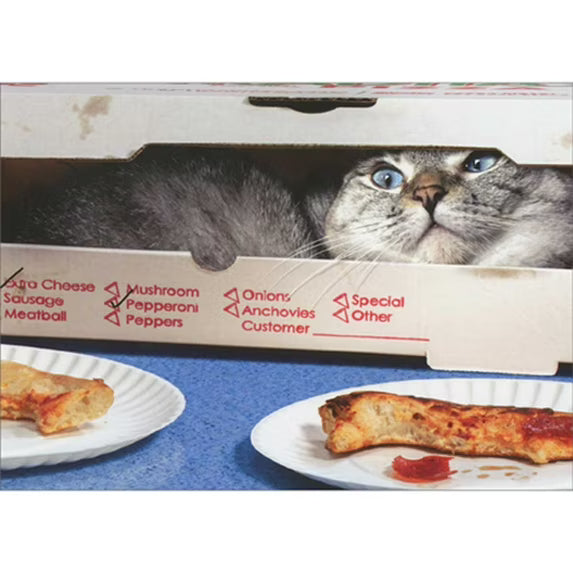 Avanti Cat Sitting In Pizza Box Greeting Card