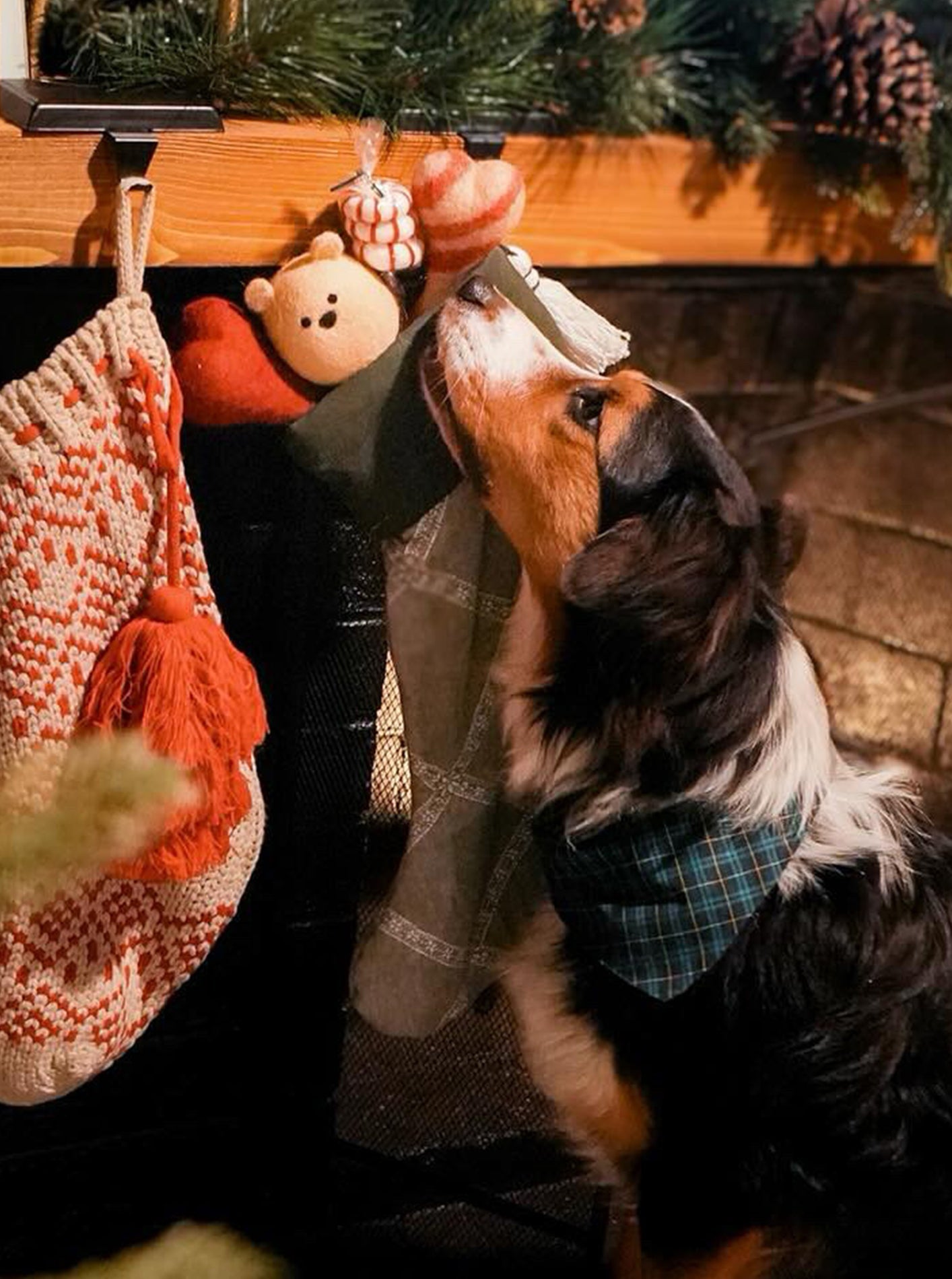 PLAID & WINTER BANDANAS