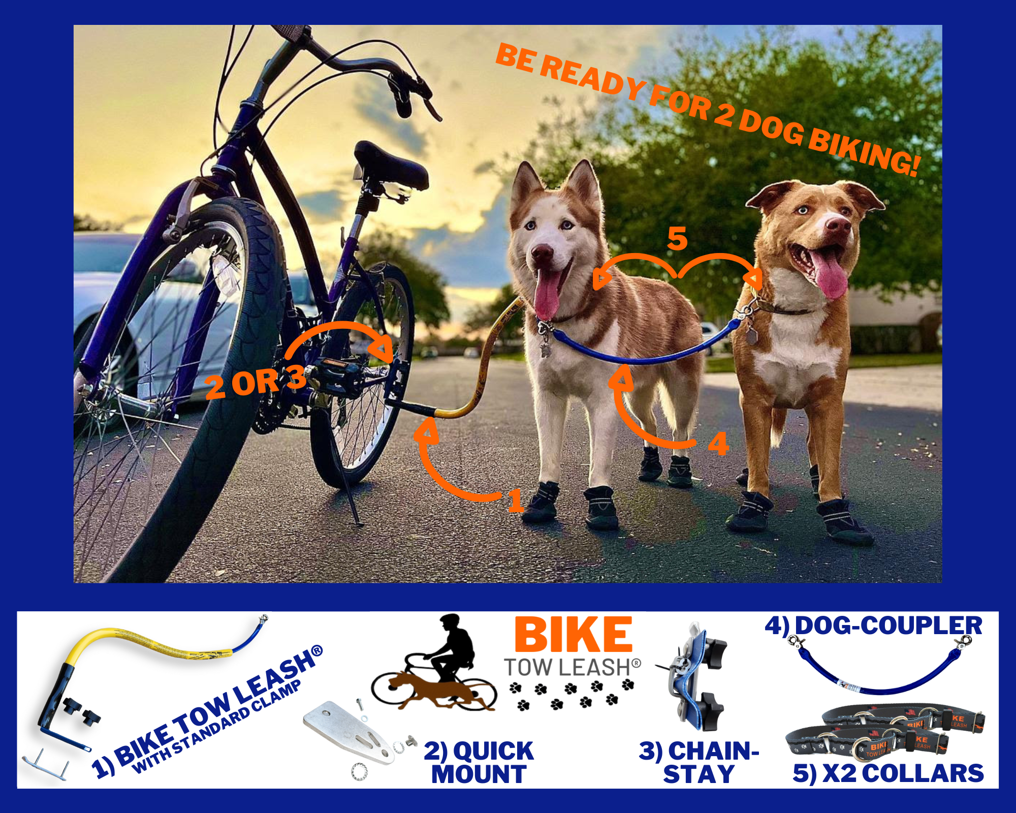 BTL Double Dog Package