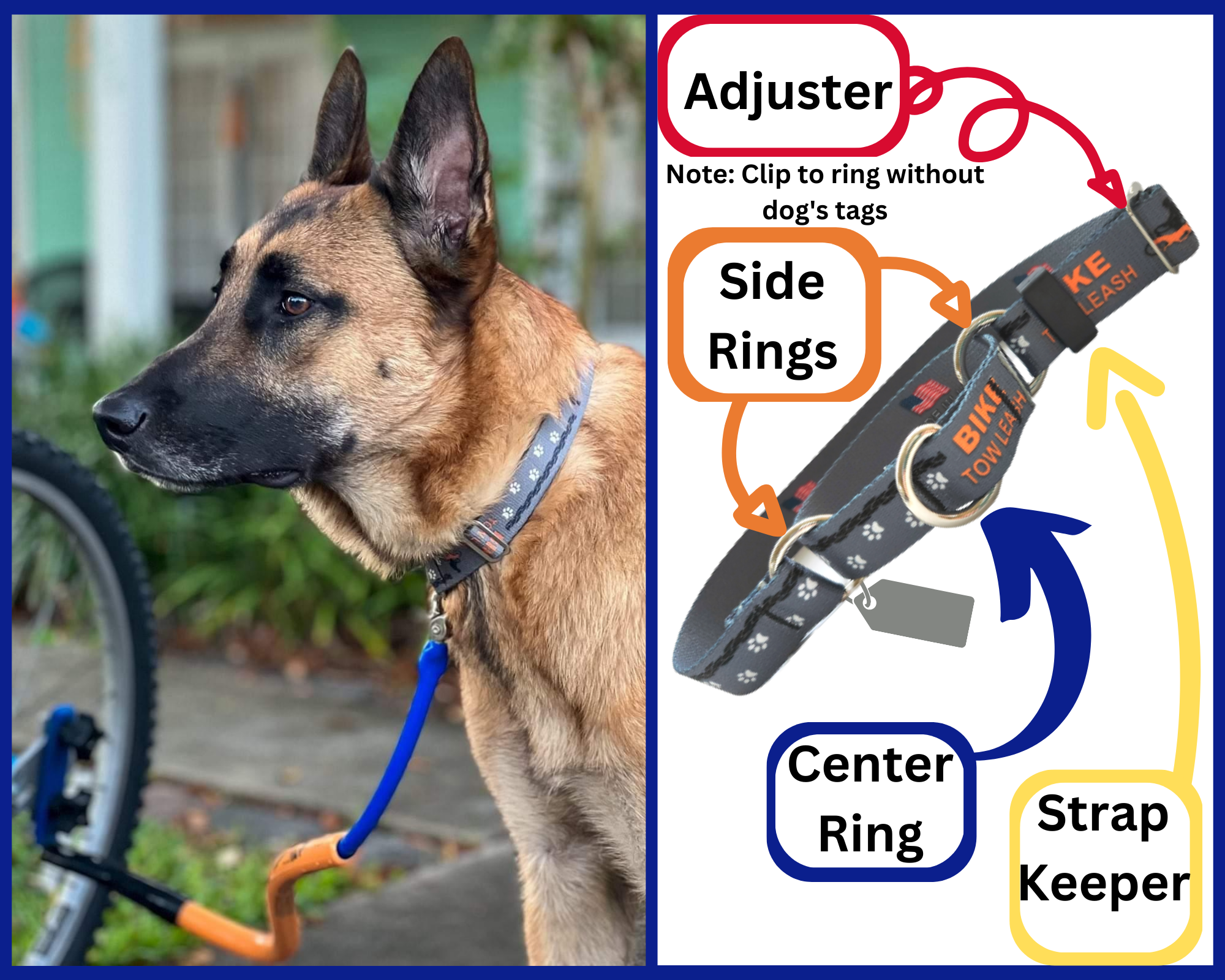Dog Biking and Walking Collar by Bike Tow Leash