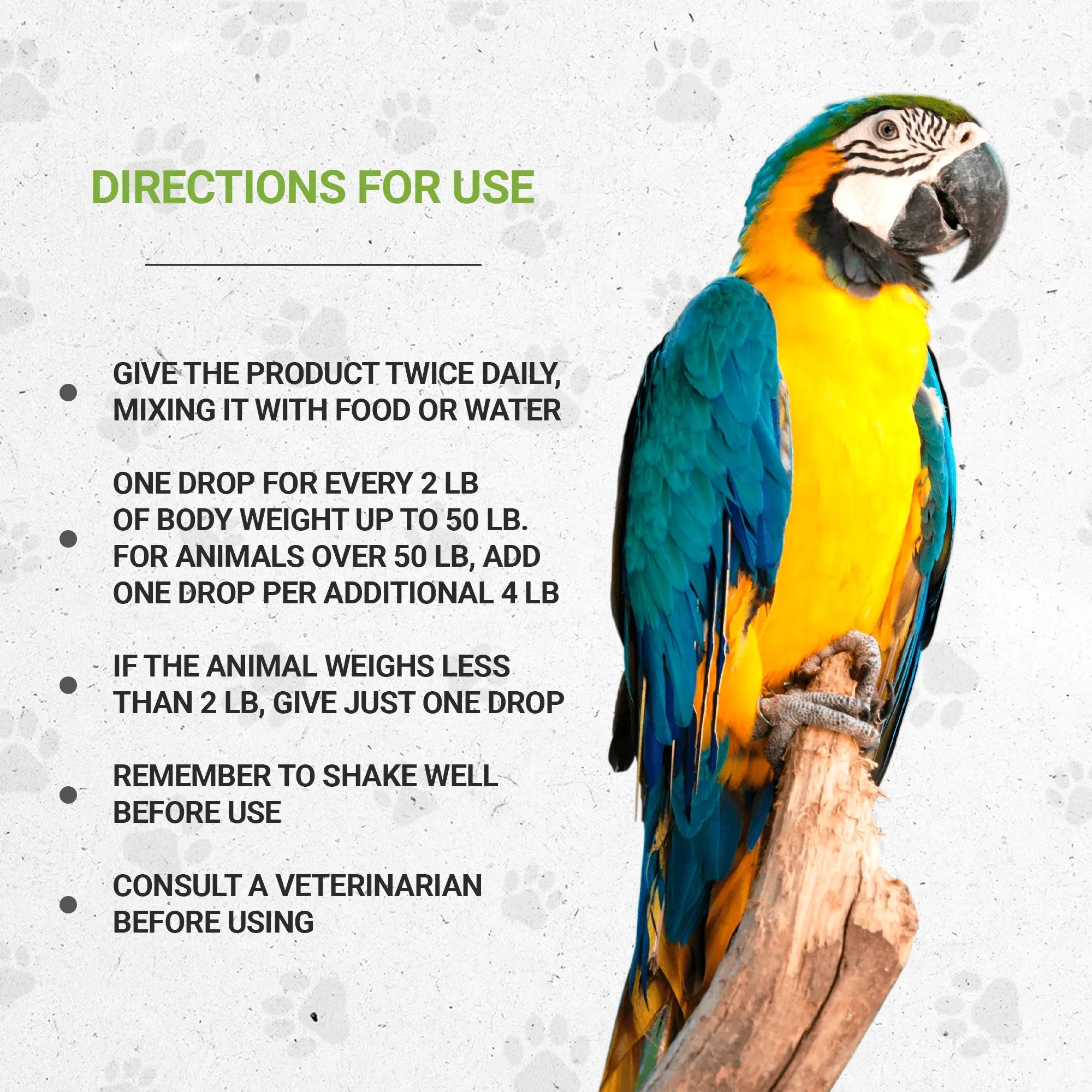 Bird's Immunity - Healthy Immunity Support in Birds