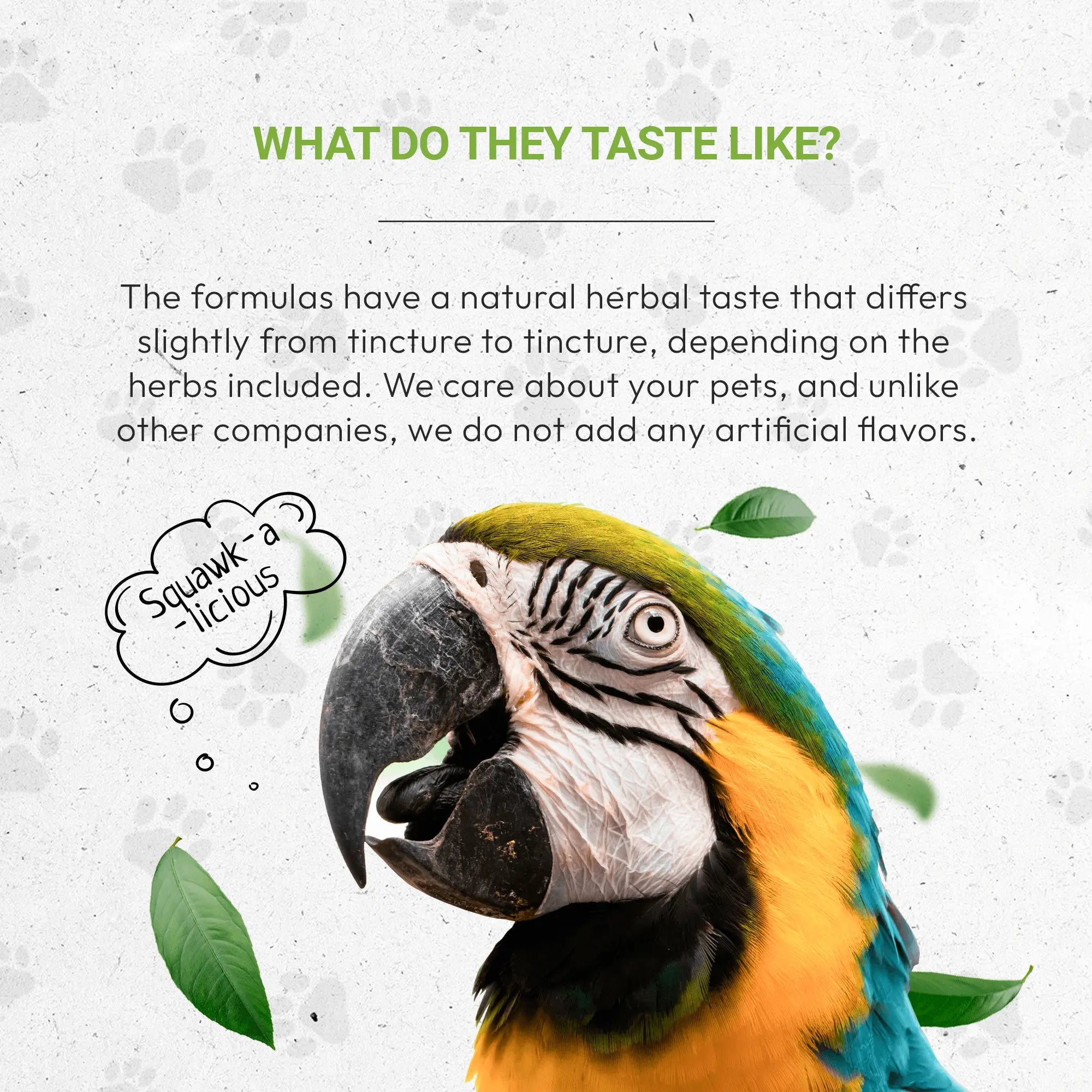 Bird's Immunity - Healthy Immunity Support in Birds