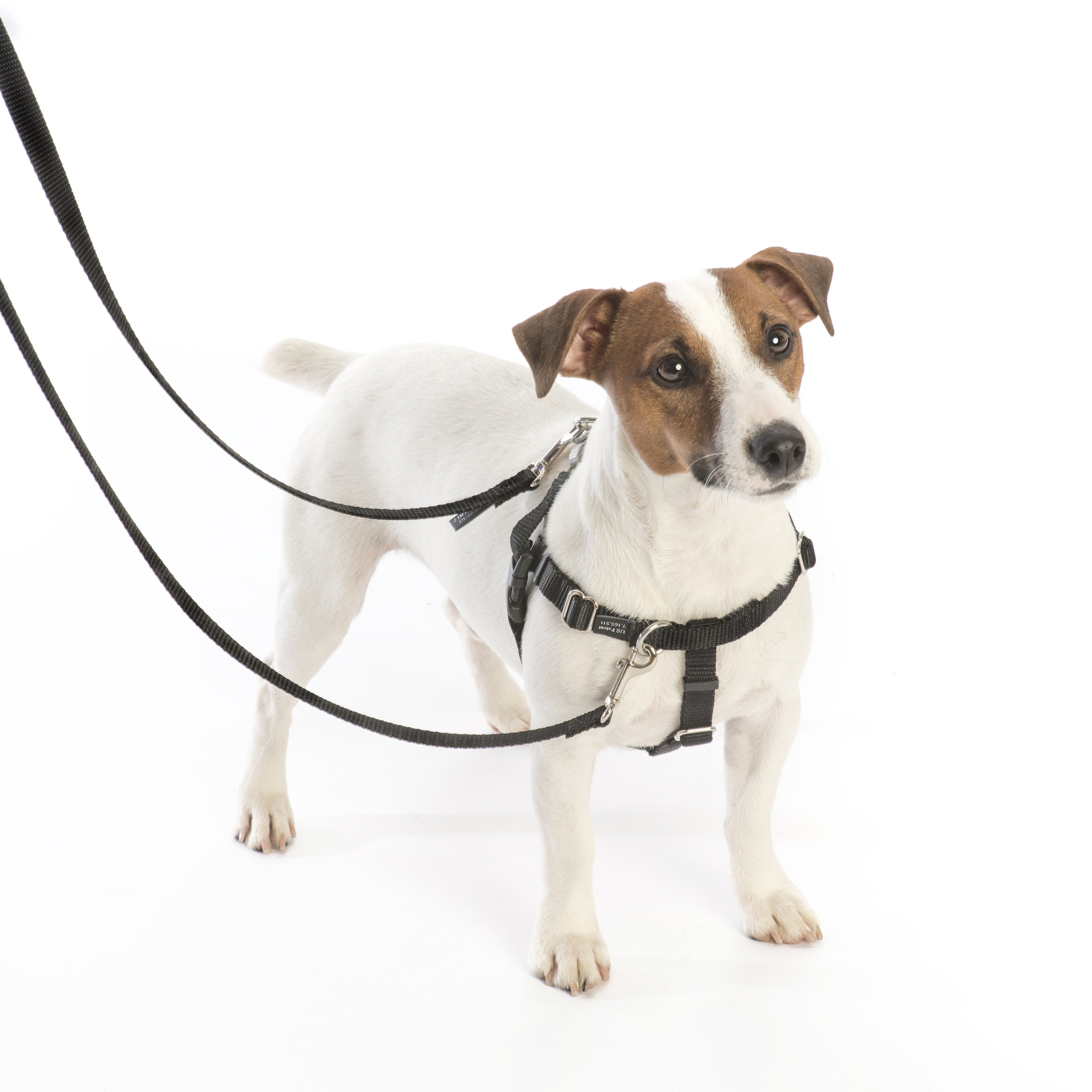 Brown Freedom No-Pull Dog Harness