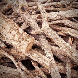 Cork Bark Branches