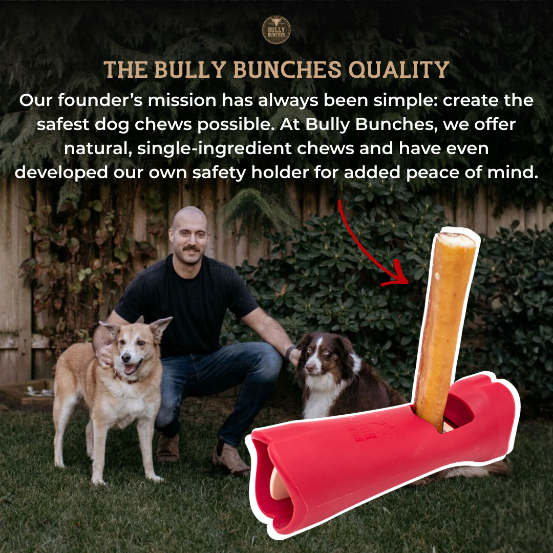 6 Inch Standard Braided Bully Stick