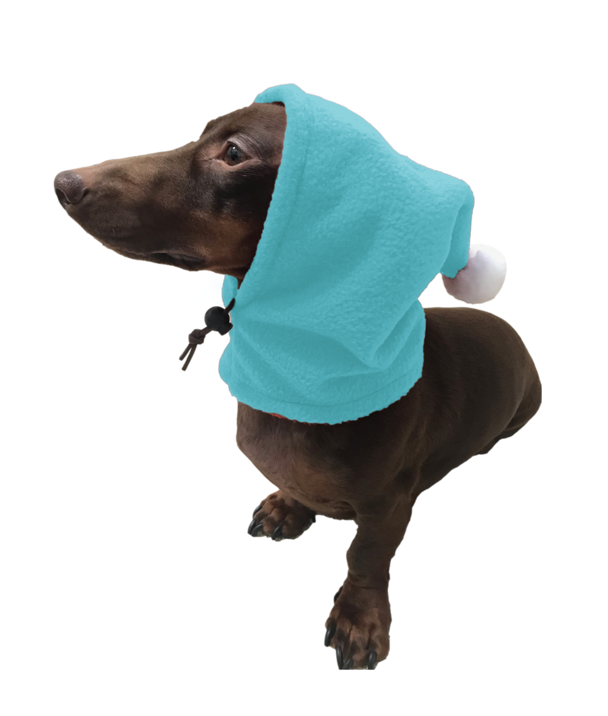 Aqua Blue Pup Topper