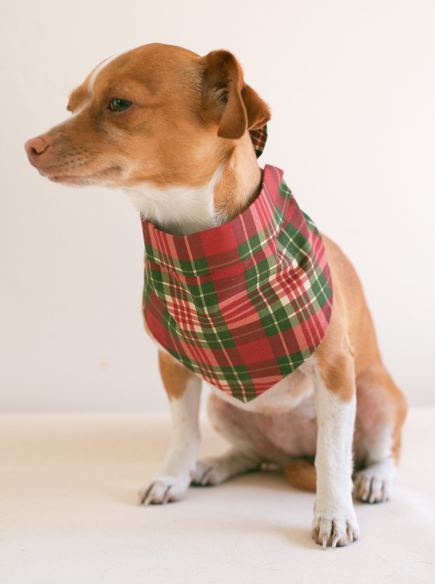PLAID & WINTER BANDANAS