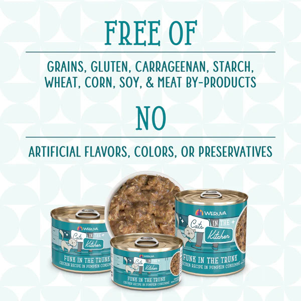 Cats in the Kitchen Funk in the Trunk Chicken Recipe in Pumpkin Consommé