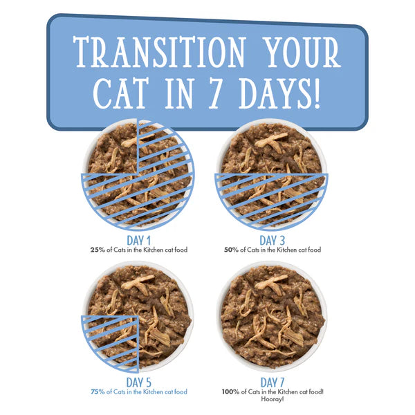 CITK C 飞溅舞蹈 3.2 盎司