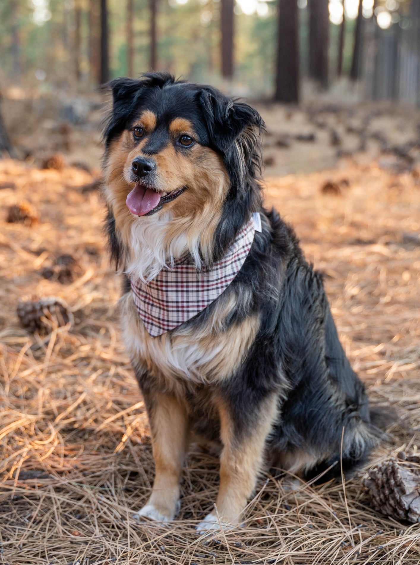 PLAID & WINTER BANDANAS
