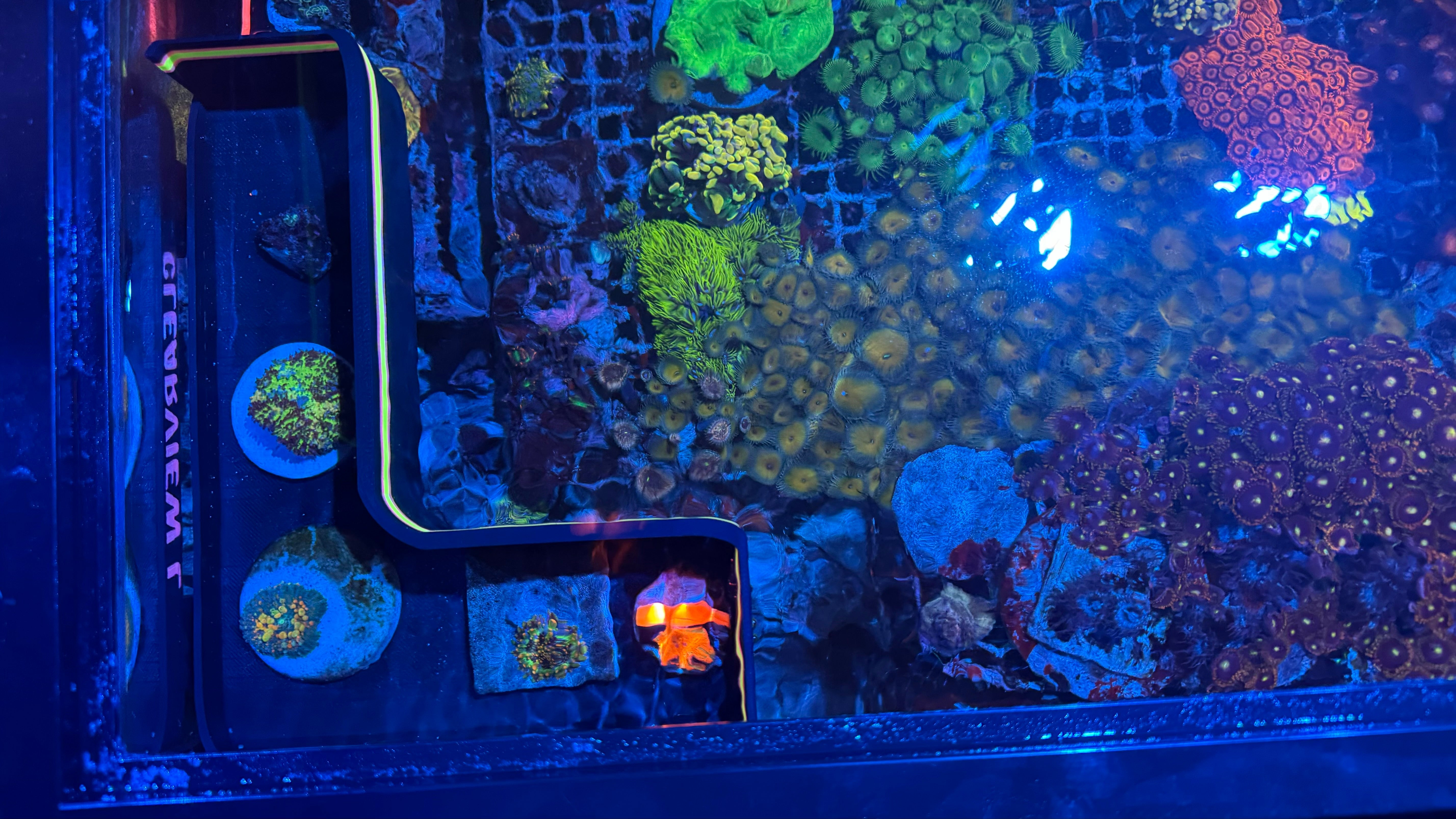 ClearView L – Rhino’s Reef Premium 3D-Printed Reef Accessory