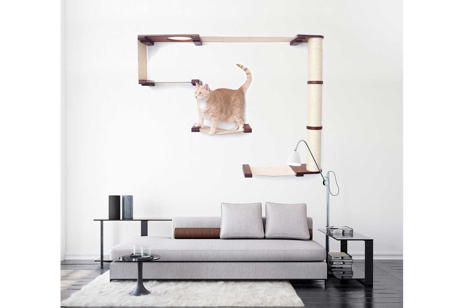 The Climb Condo - Cat Wall Climbing System