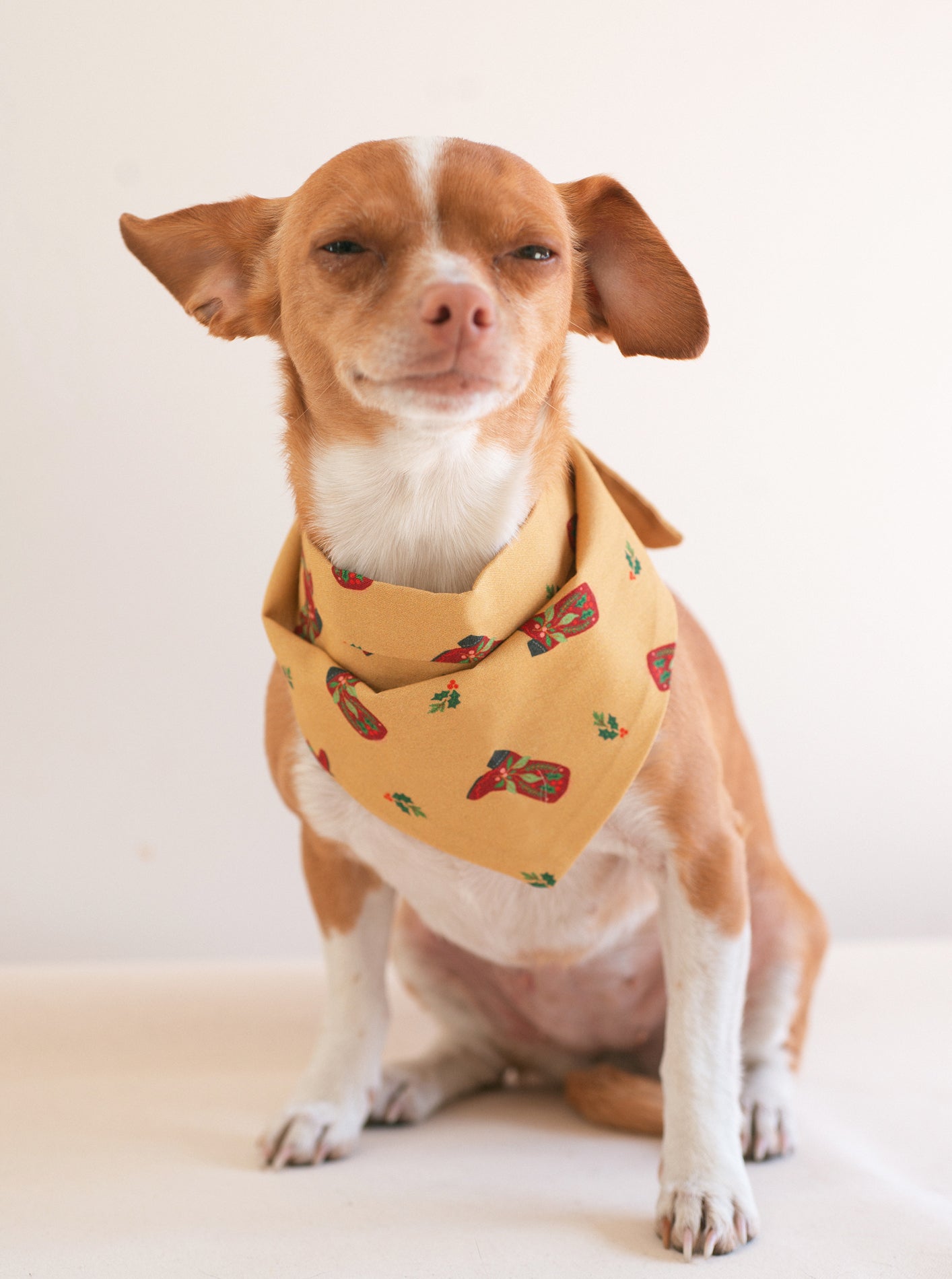 PLAID & WINTER BANDANAS