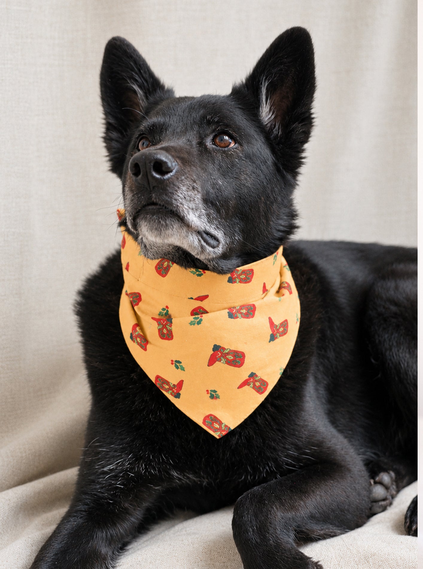 PLAID & WINTER BANDANAS