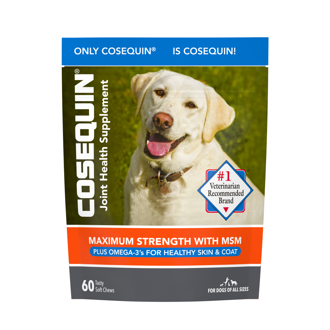 60ct Cosequin Joint Health Supplement for Dogs Maximum Strength Soft Chews