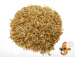 2lb Chubby Mix (Mealworm & Black Soldier Fly Larvae Combo)