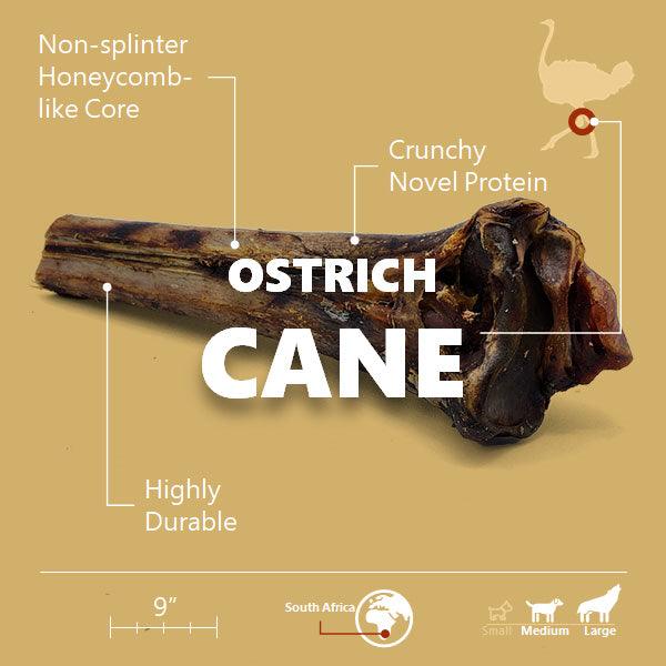 Large Ostrich Cane (11.5