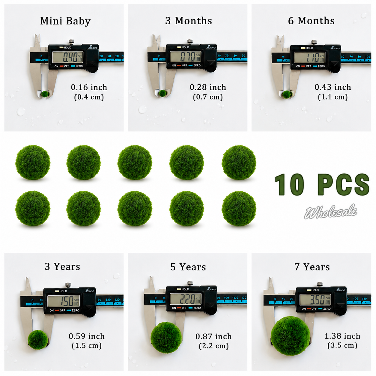 Live Moss Balls Mini Baby 0.3-0.5cm Wholesale Discounted Price Bulk Sell Marimo Moss Balls Aqua Plant Pet Petco