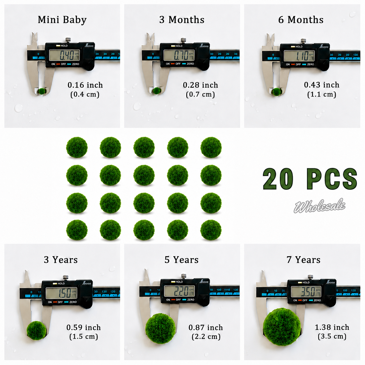Live Moss Balls Mini Baby 0.3-0.5cm Wholesale Discounted Price Bulk Sell Marimo Moss Balls Aqua Plant Pet Petco