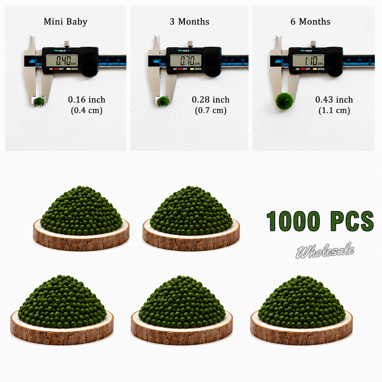 Live Moss Balls Mini Baby 0.3-0.5cm Wholesale Discounted Price Bulk Sell Marimo Moss Balls Aqua Plant Pet Petco