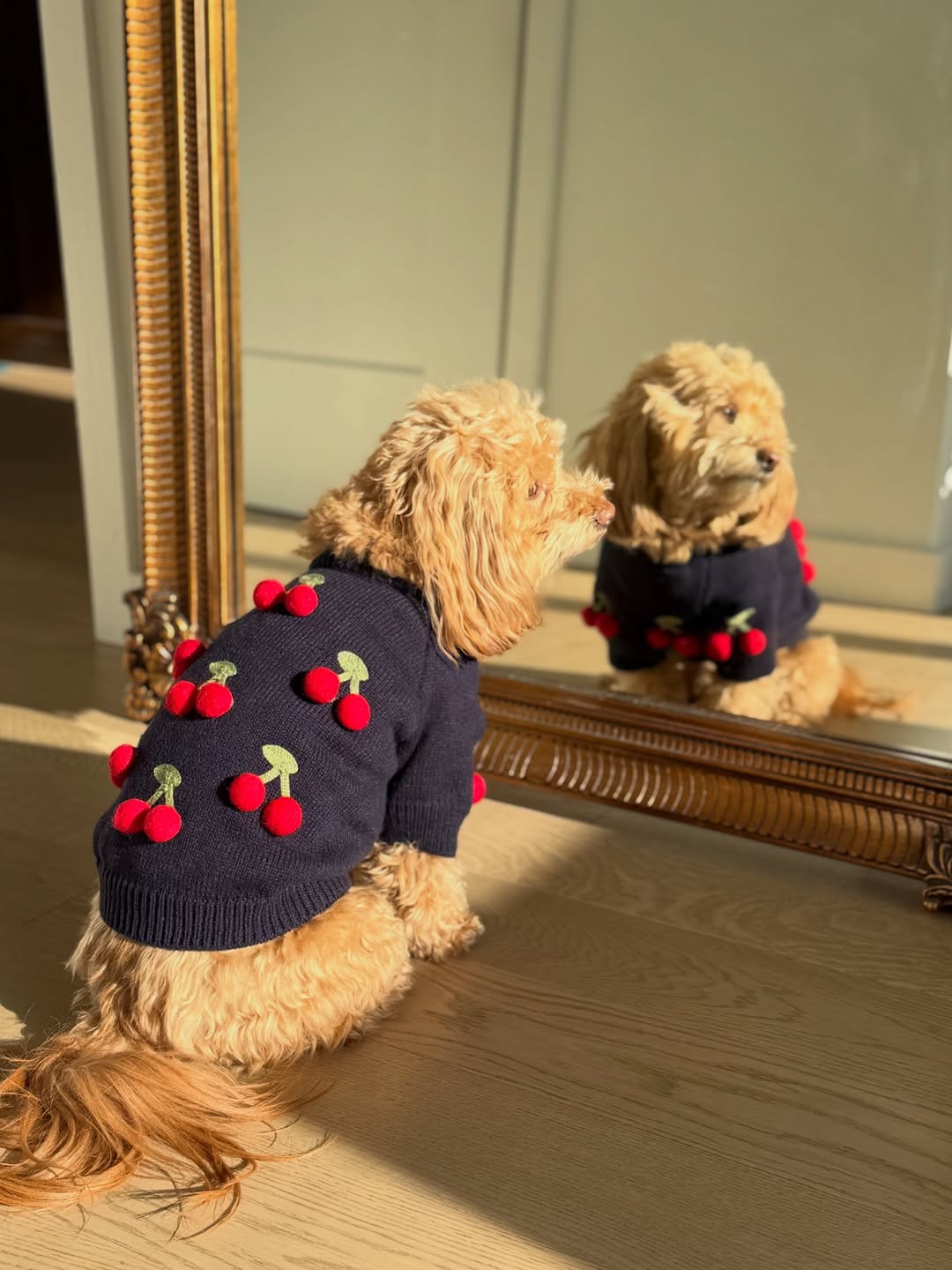 Found My Animal Cherries 3D Icon Sweater