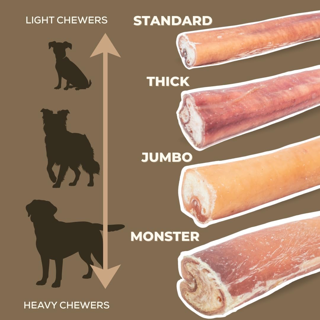 12 Inch Jumbo Bully Stick