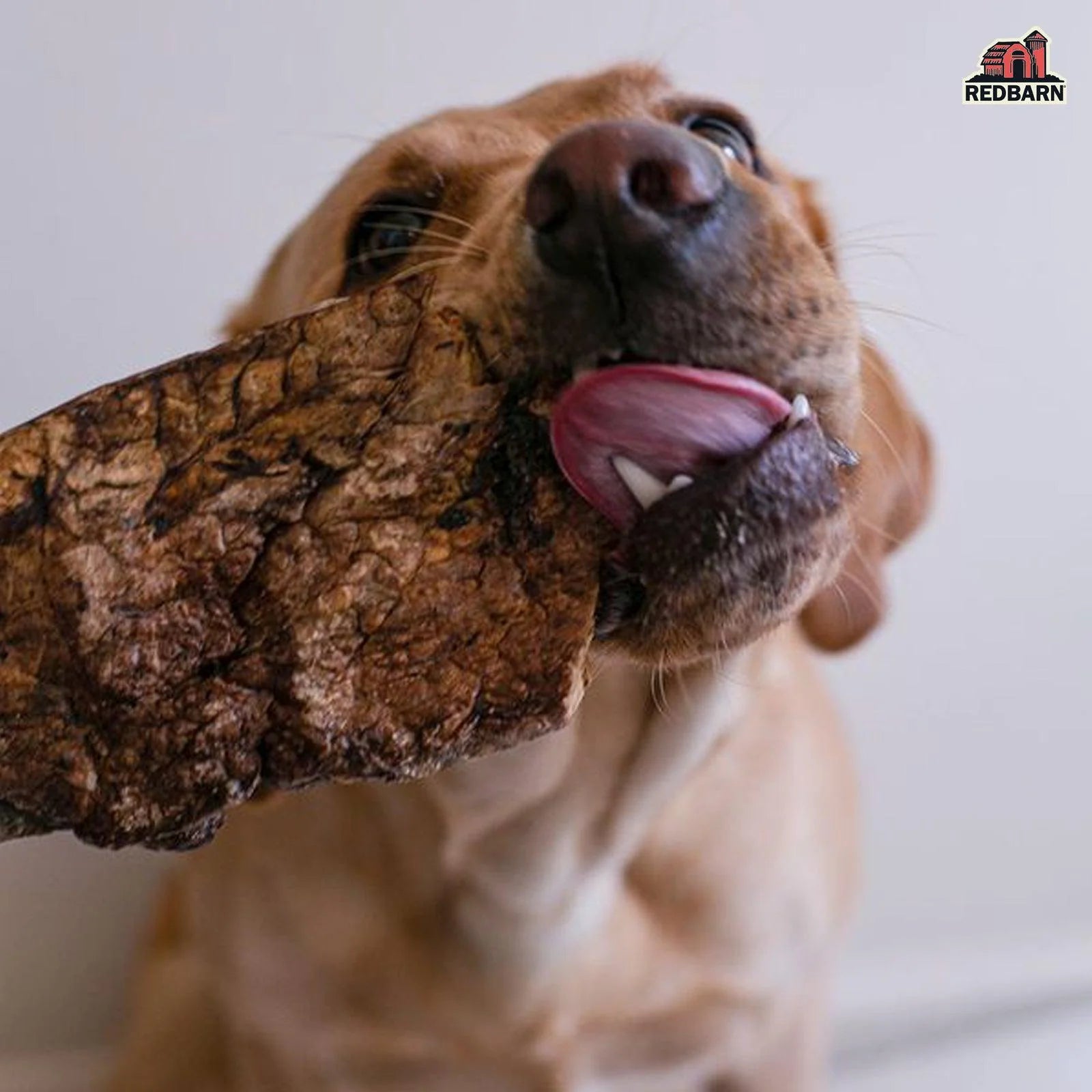 Redbarn Natural Dog Choppers (9oz)