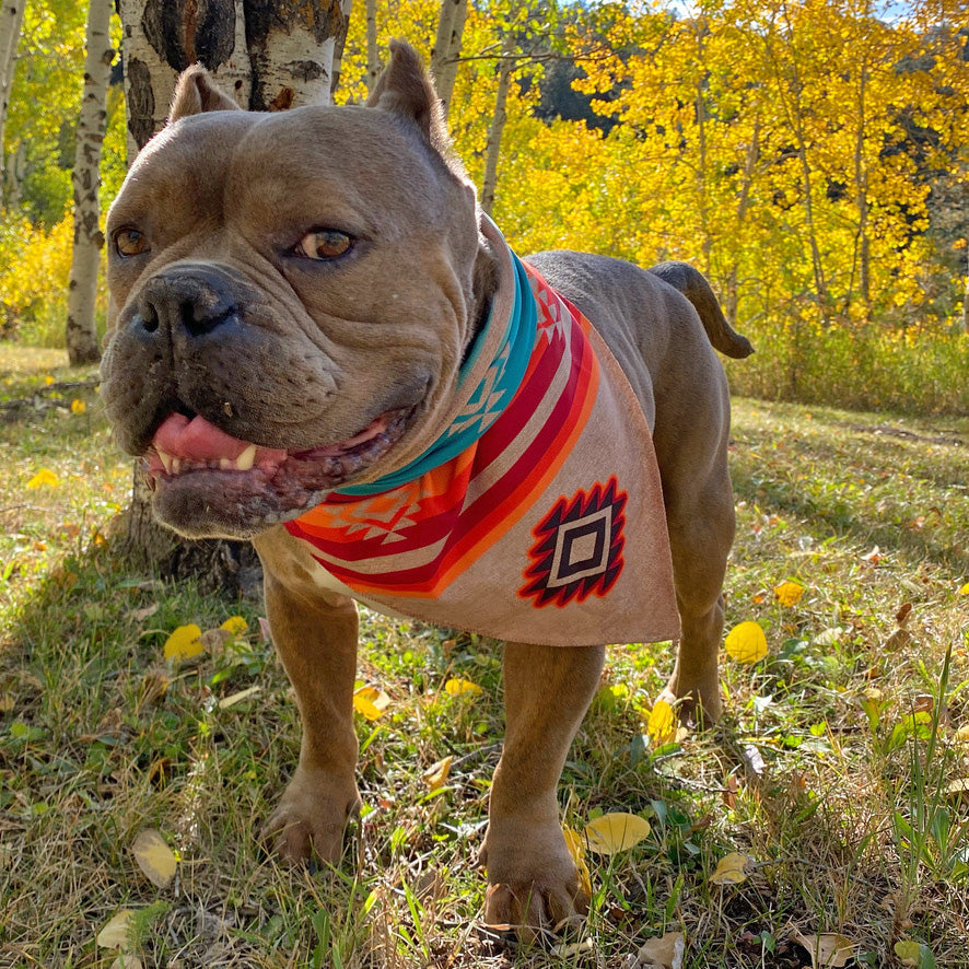 Sport Bandana - Turquoise Sky/Sky Fire