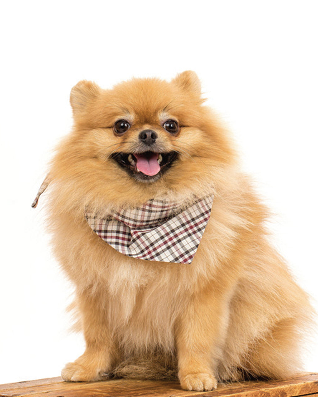 PLAID & WINTER BANDANAS