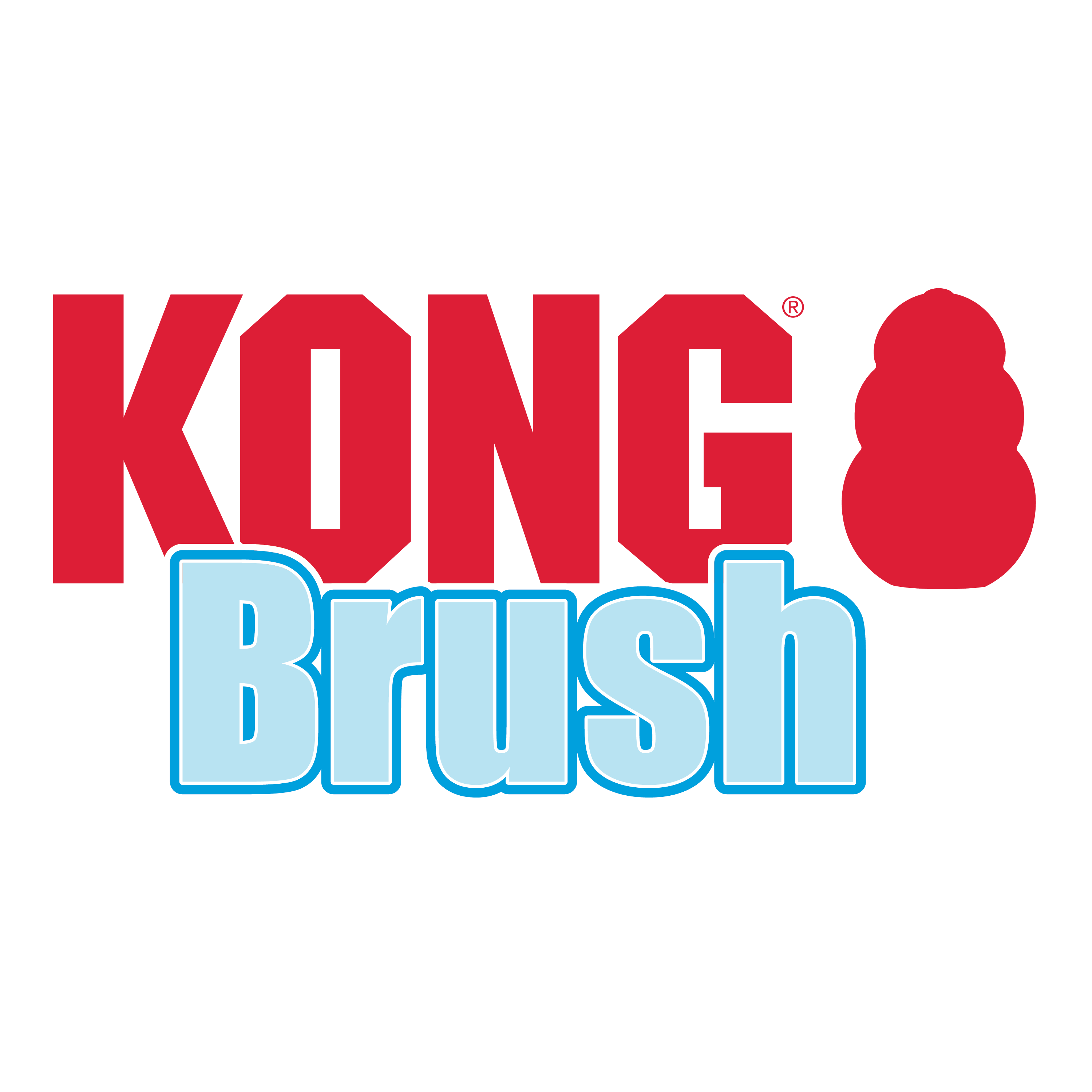 Kong Cleaning Brush