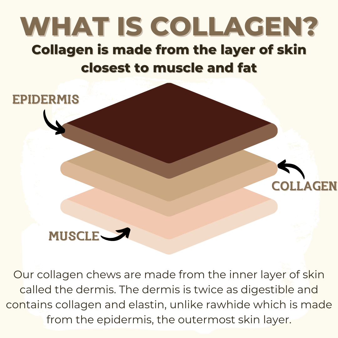 5-6 Inch Large Collagen Stick