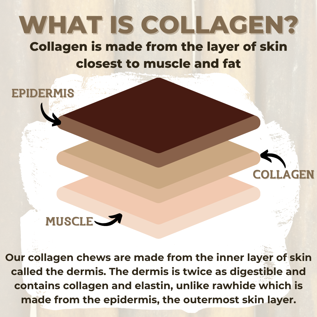 5-6 Inch Collagen Stick