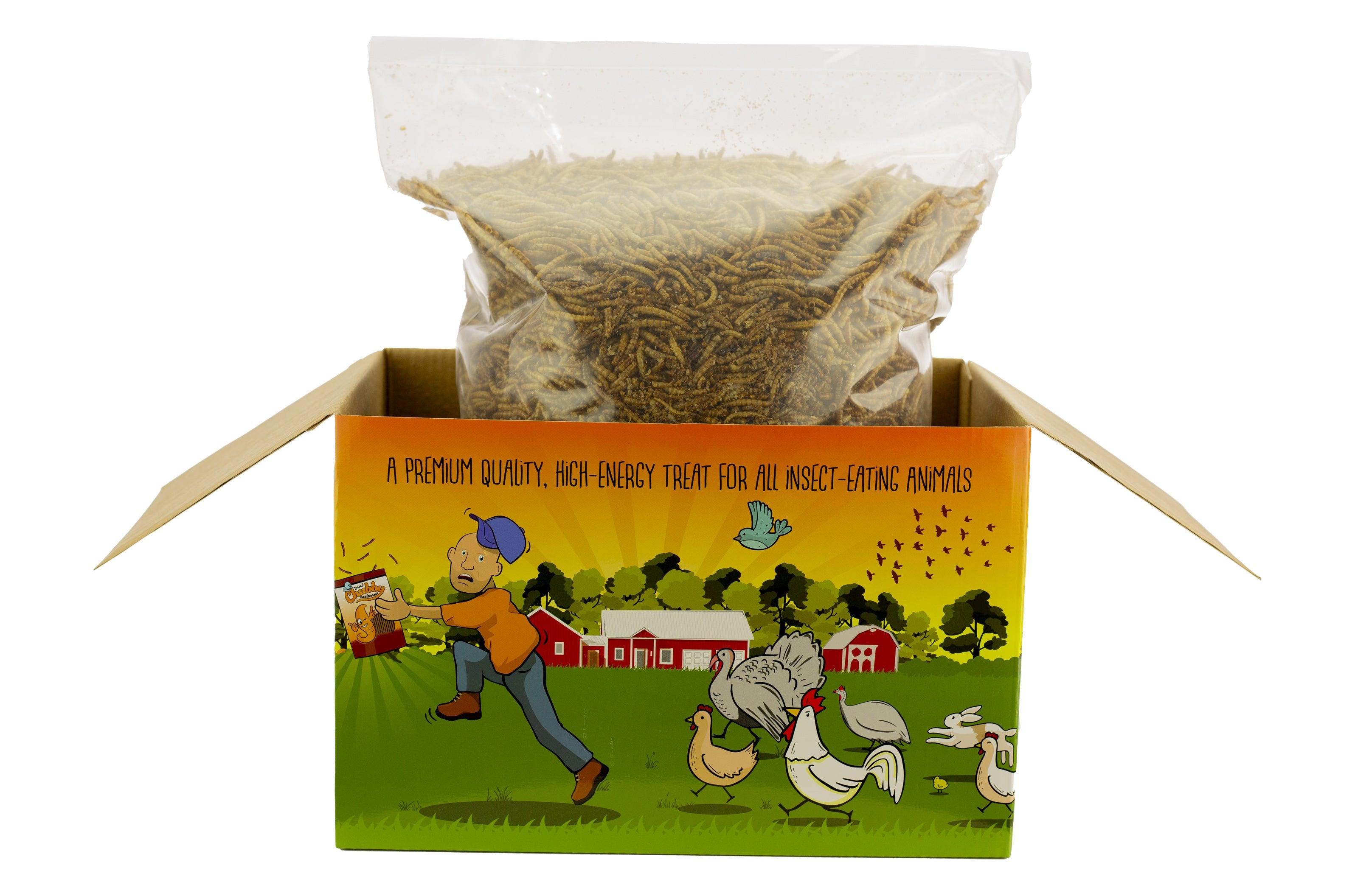 4x 3Lb (12lbs) Chubby Dried Mealworms - Coop Dreams Limited Edition Boxes