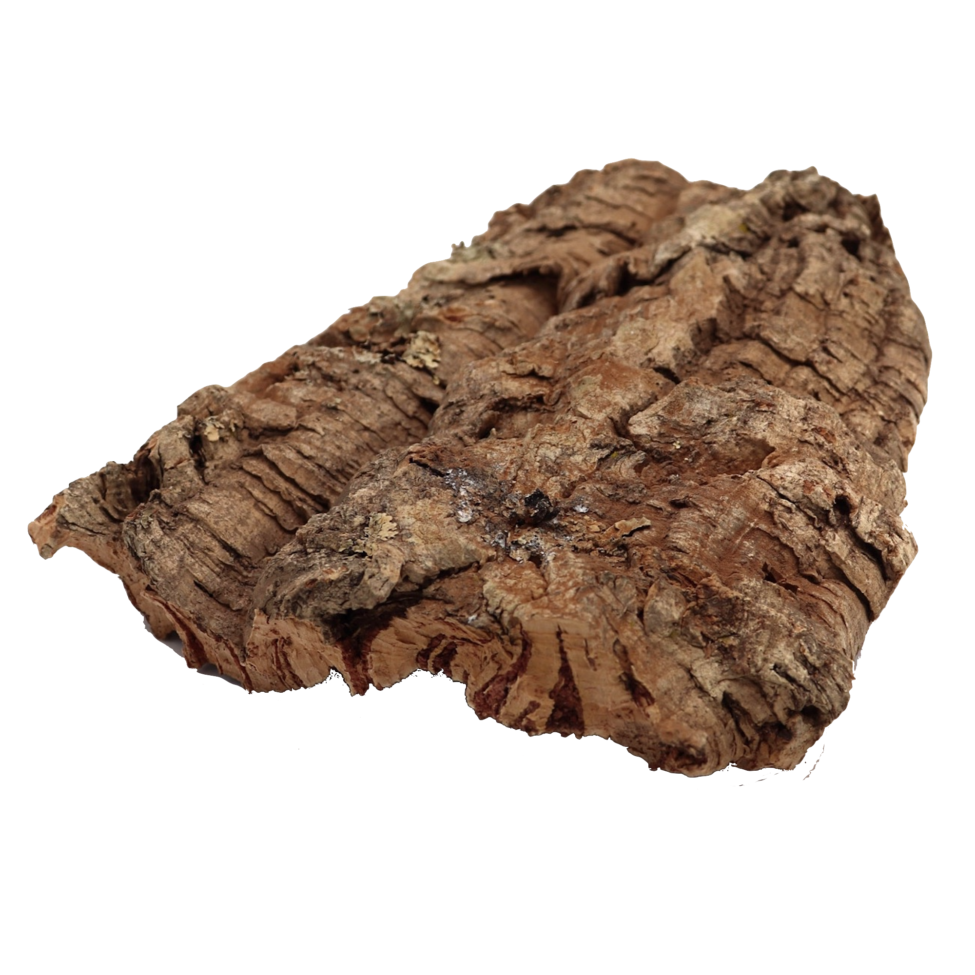 Single Cork Bark Flats (Customizable)