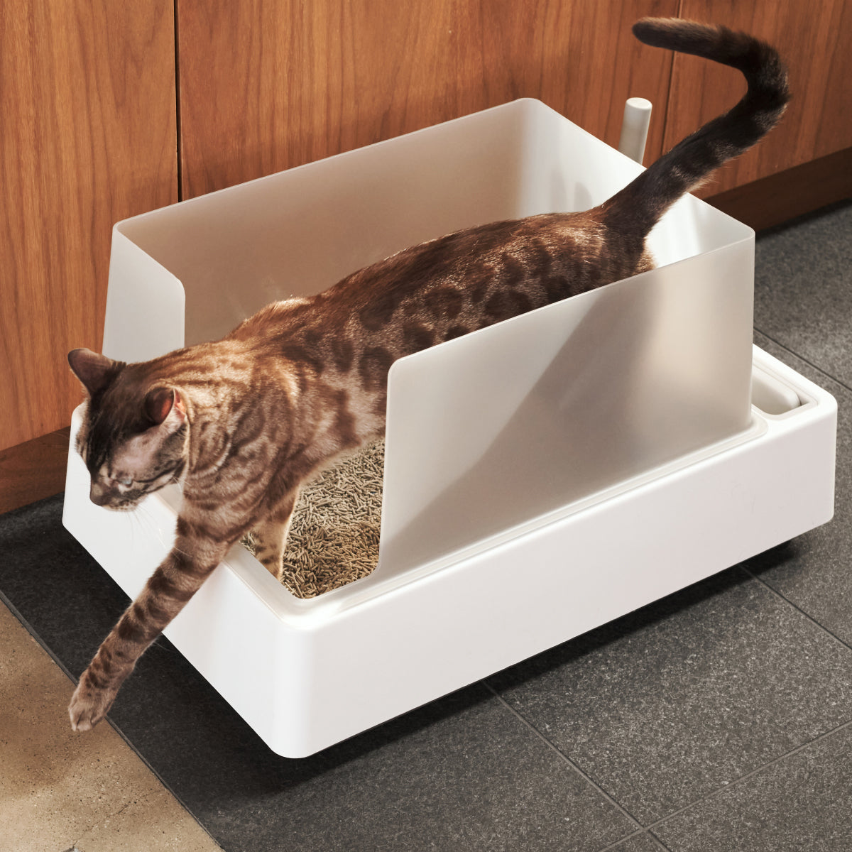 Cove Litter Box