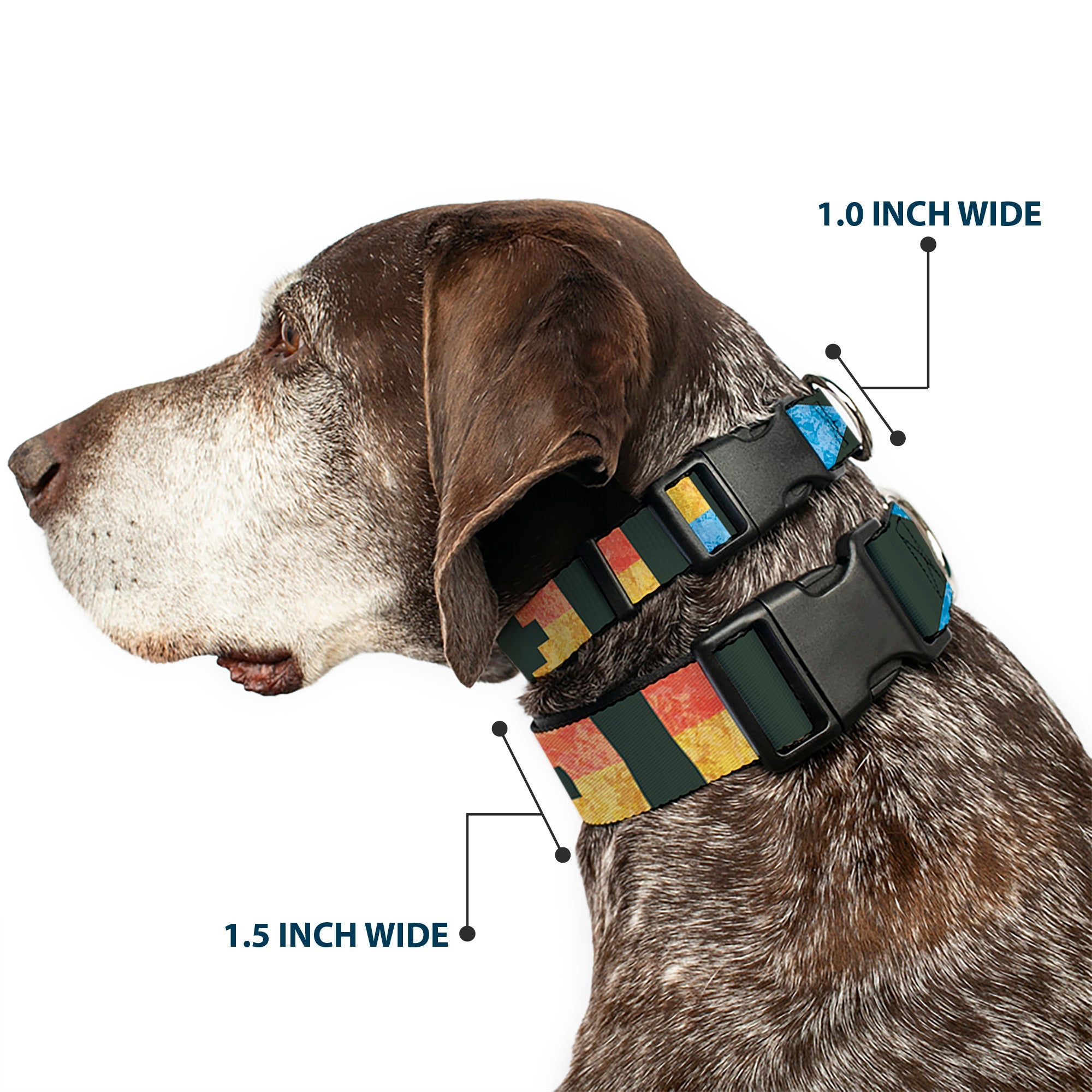Plastic Clip Collar - Geometric8 Charcoal/Orange/Gold/Blue