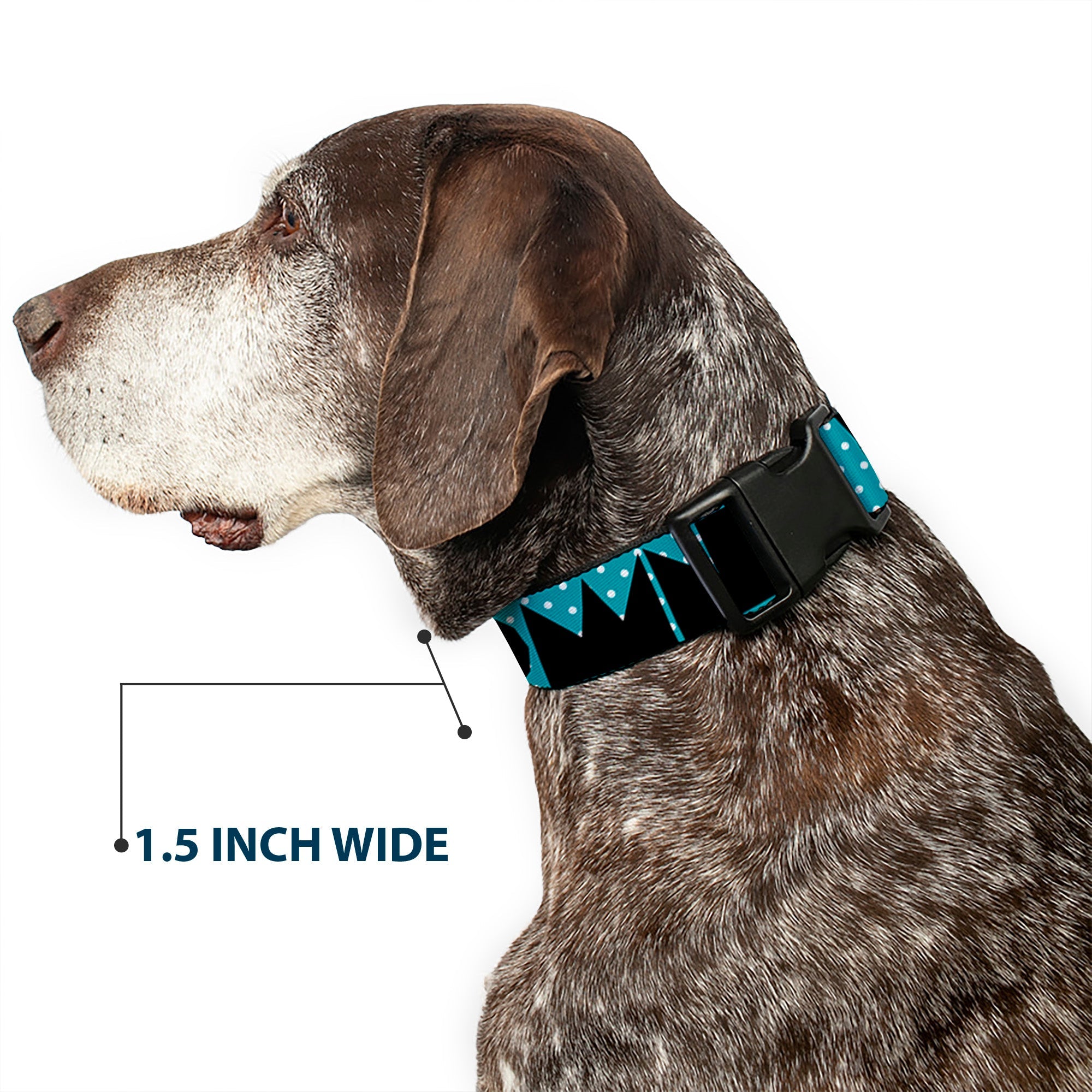 Plastic Clip Collar - BUCKLE-DOWN Shapes Dot Turquoise/White/Black