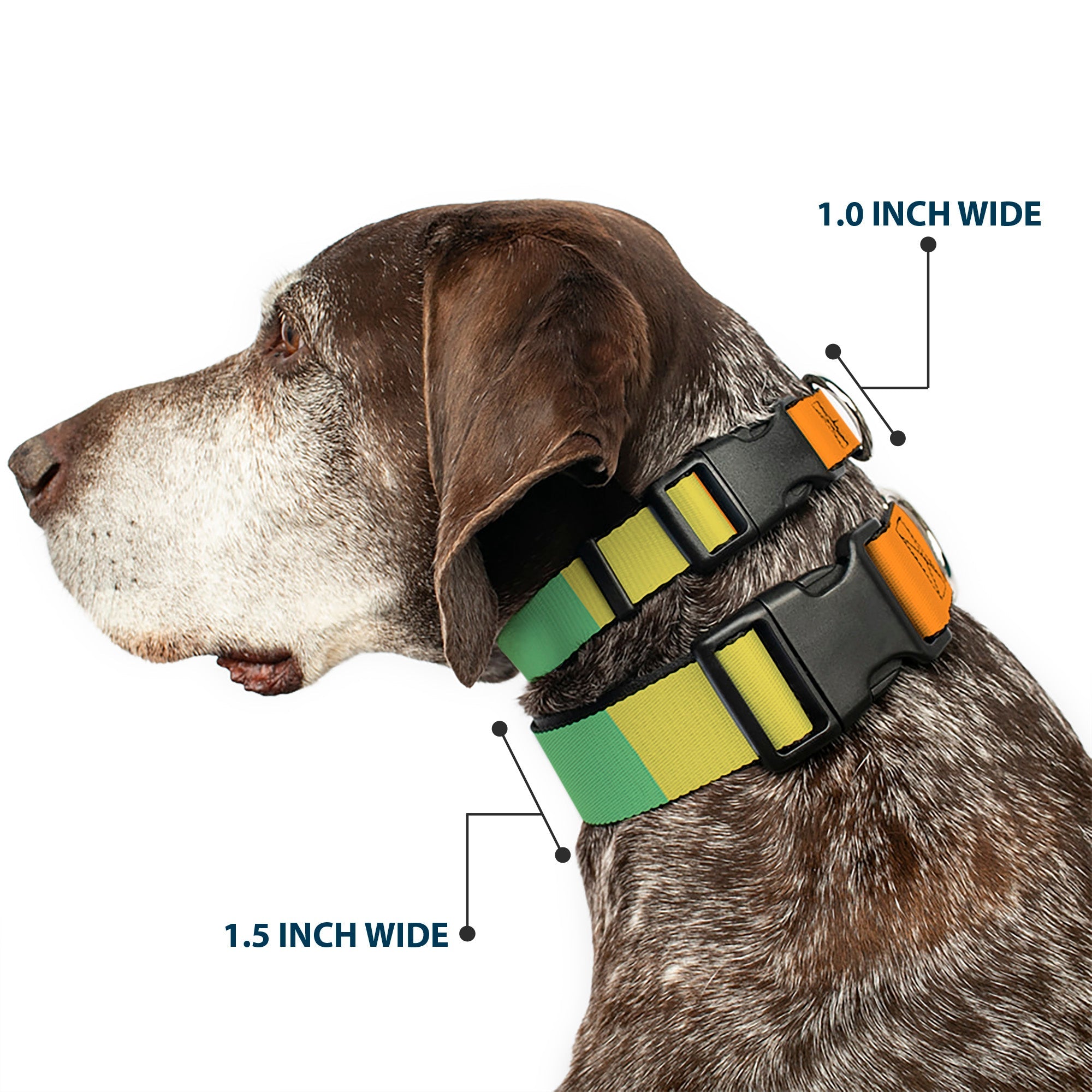 Plastic Clip Collar - Summer Essentials Color Block 1