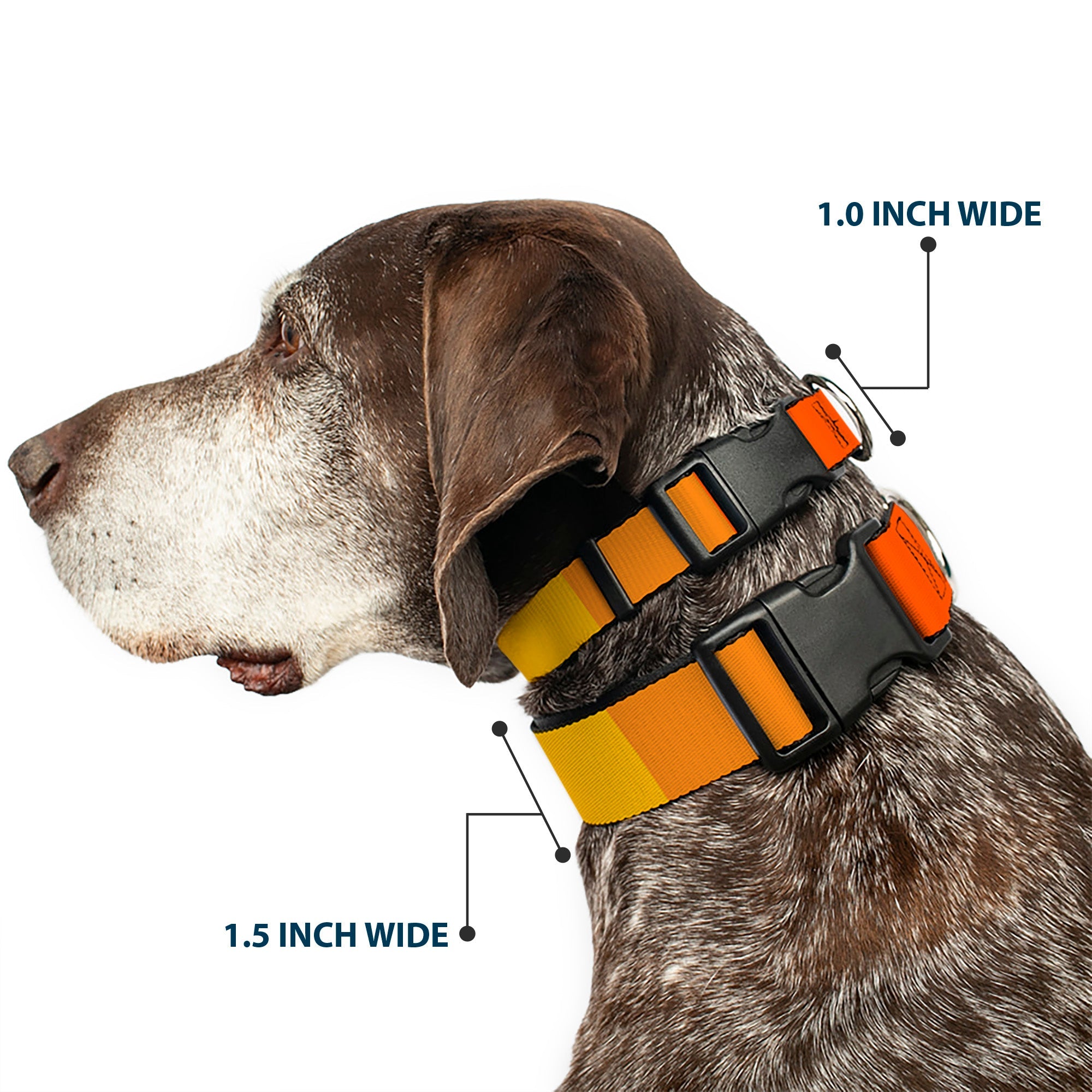 Plastic Clip Collar - Summer Essentials Color Block 2