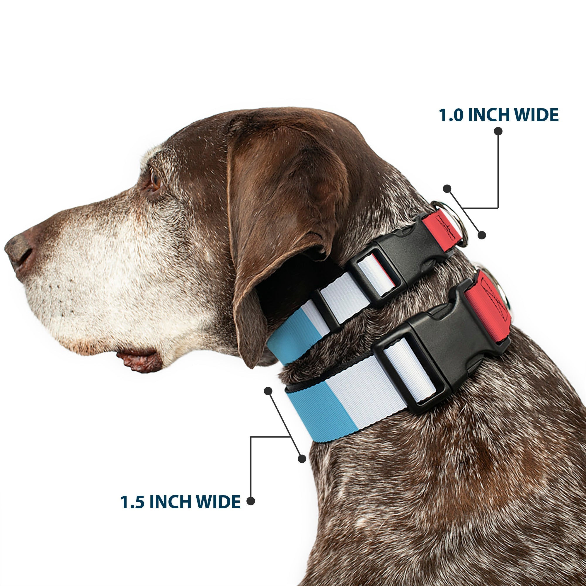 Plastic Clip Collar - Summer Essentials Color Block 4
