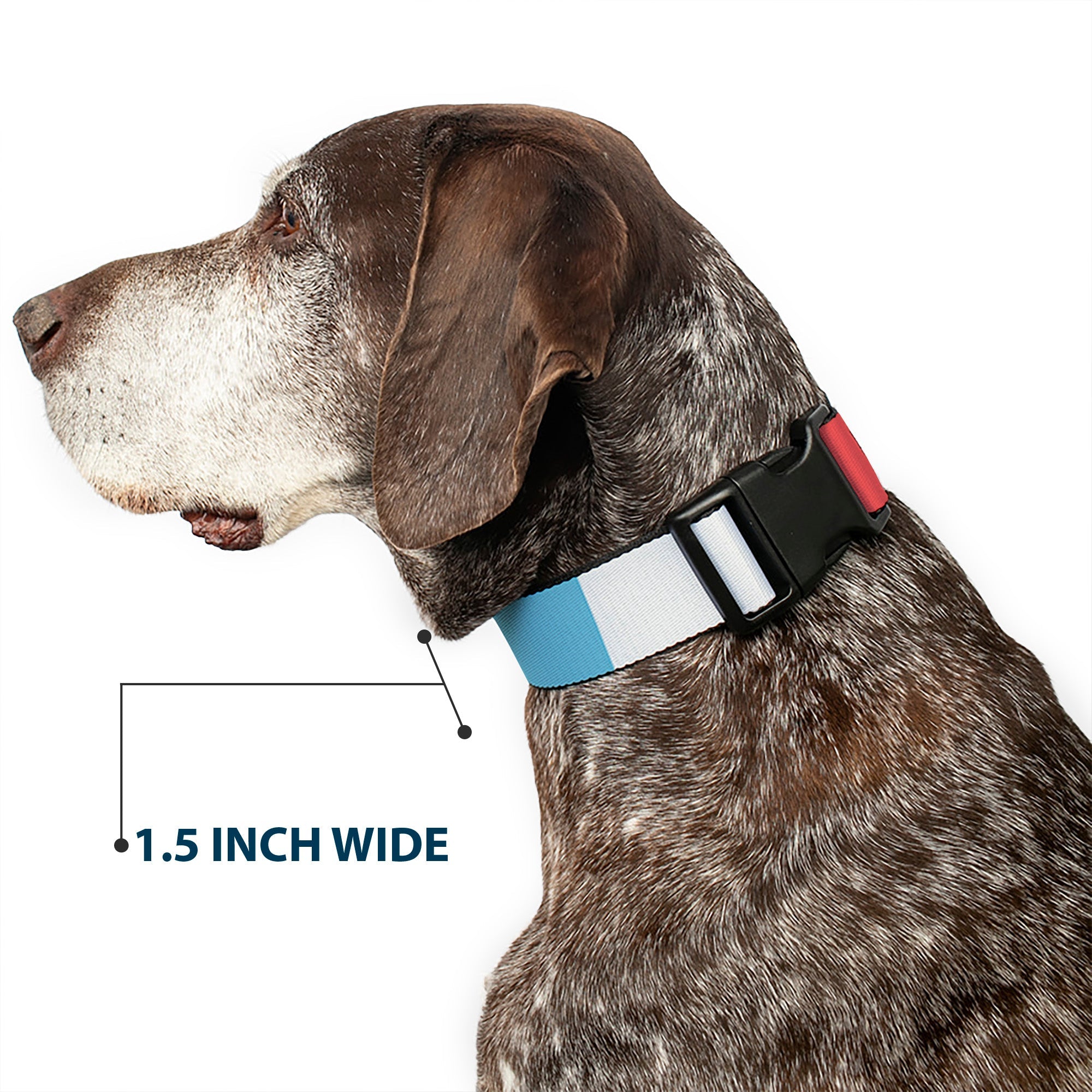 Plastic Clip Collar - Summer Essentials Color Block 4