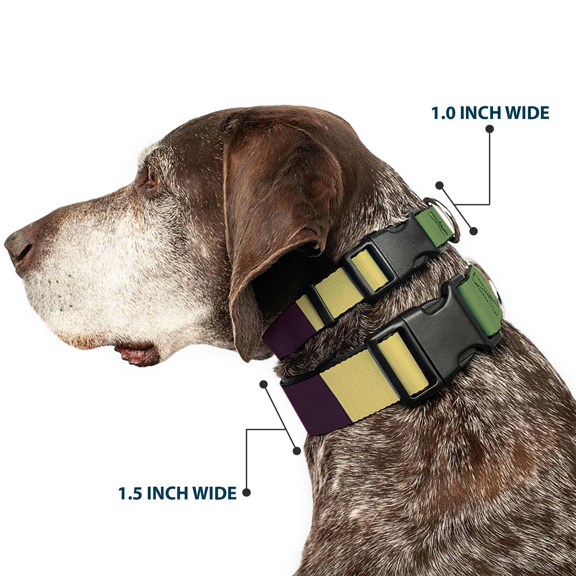 Plastic Clip Collar - Summer Essentials Color Block 5