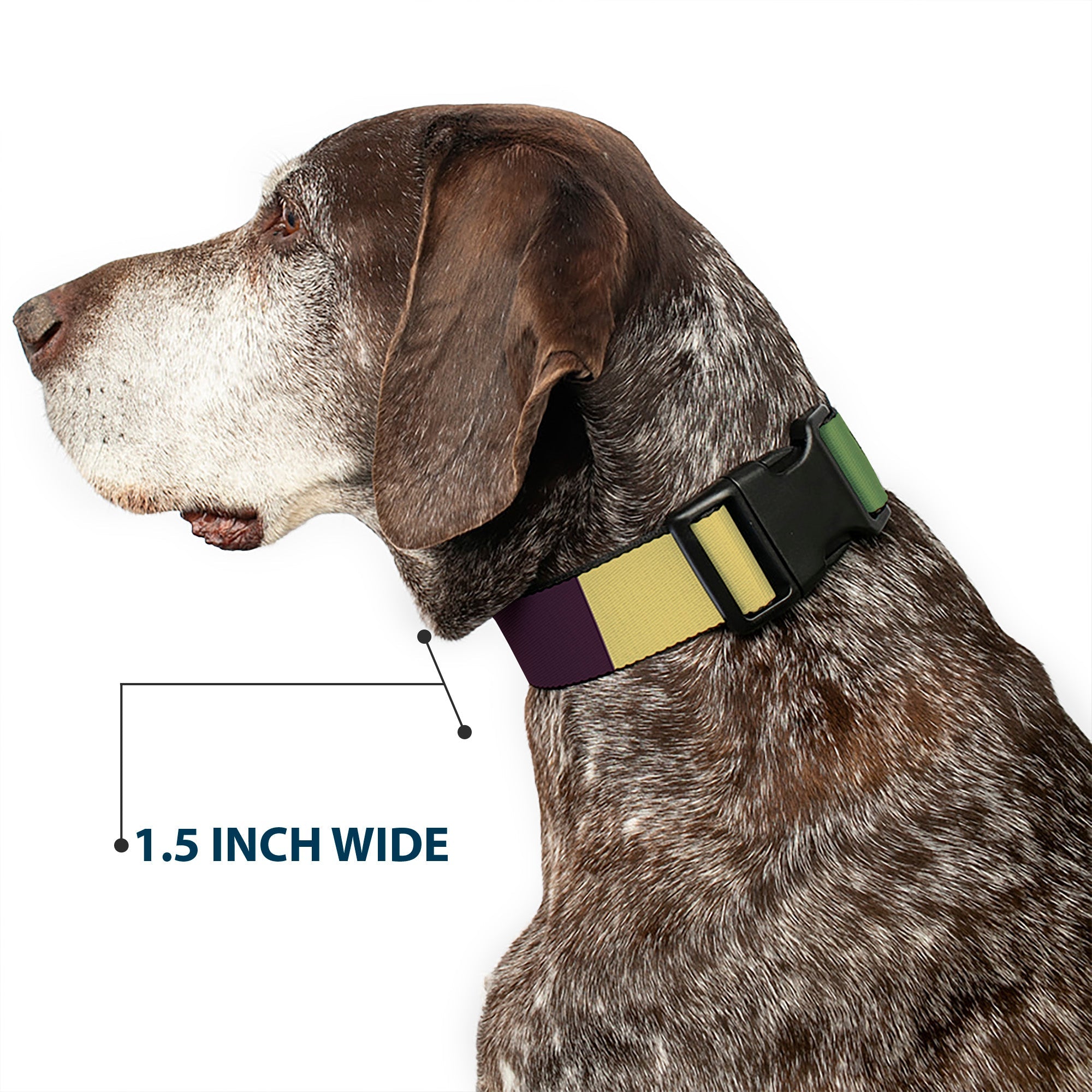 Plastic Clip Collar - Summer Essentials Color Block 5