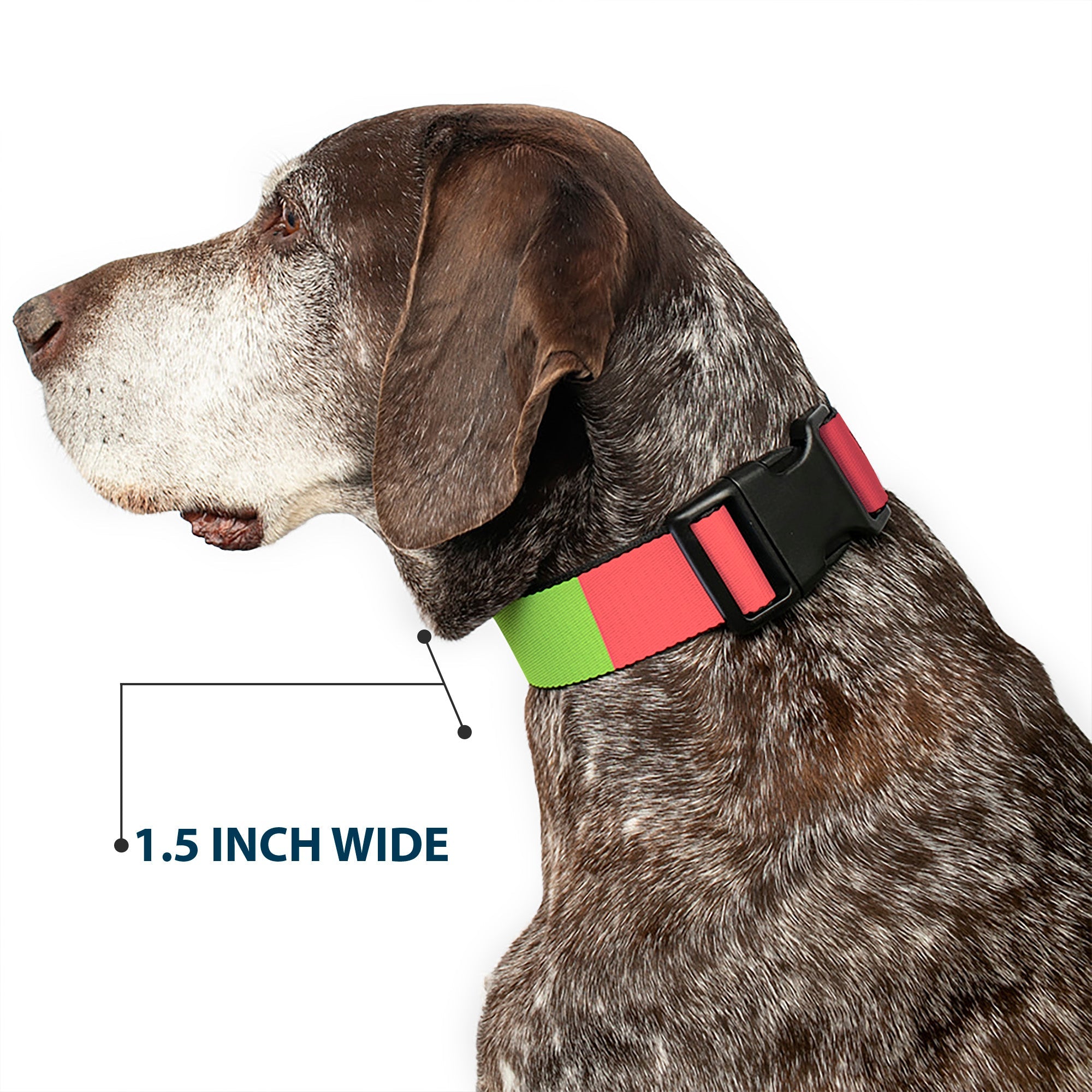Plastic Clip Collar - Summer Essentials Color Block 8