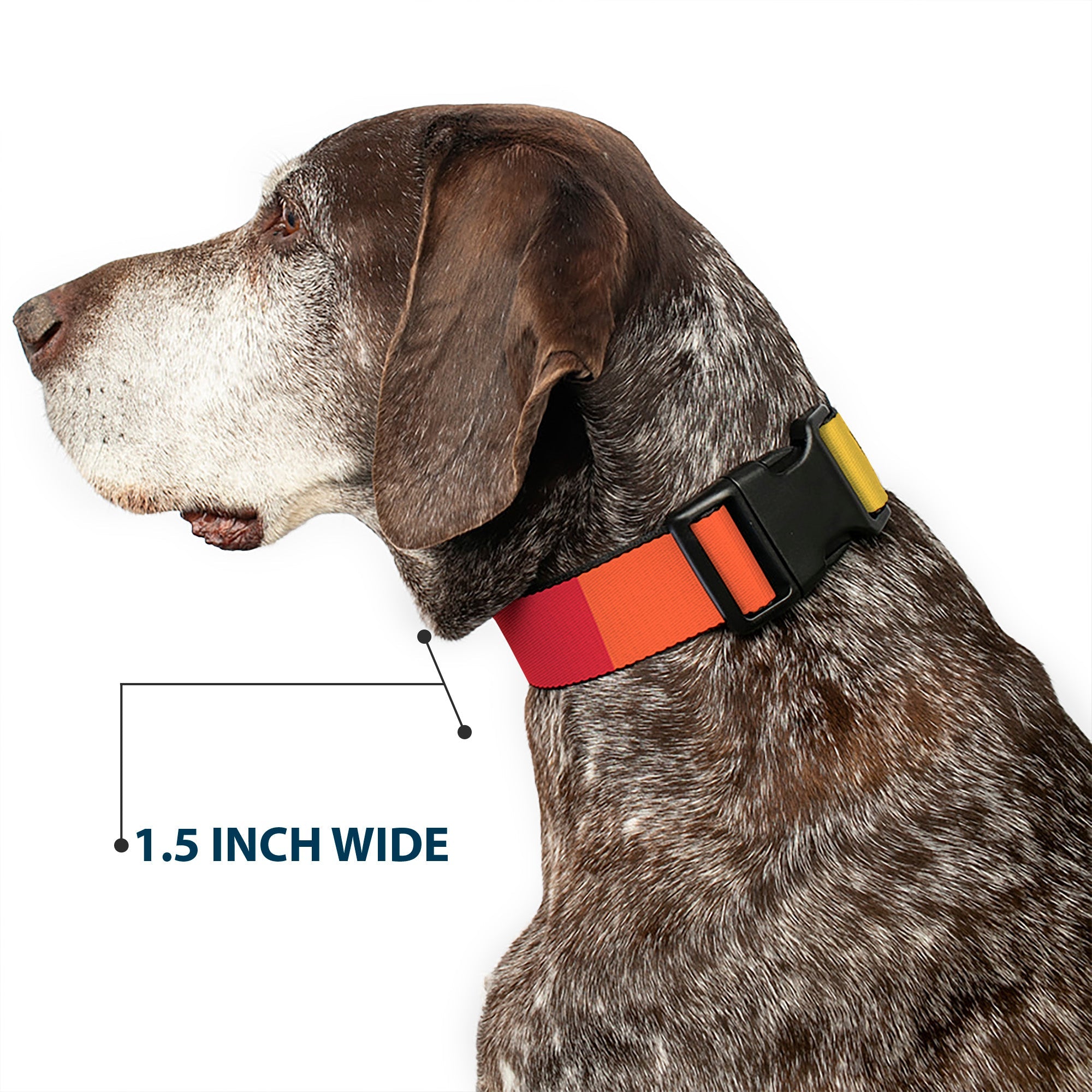 Plastic Clip Collar - Summer Essentials Color Block 9