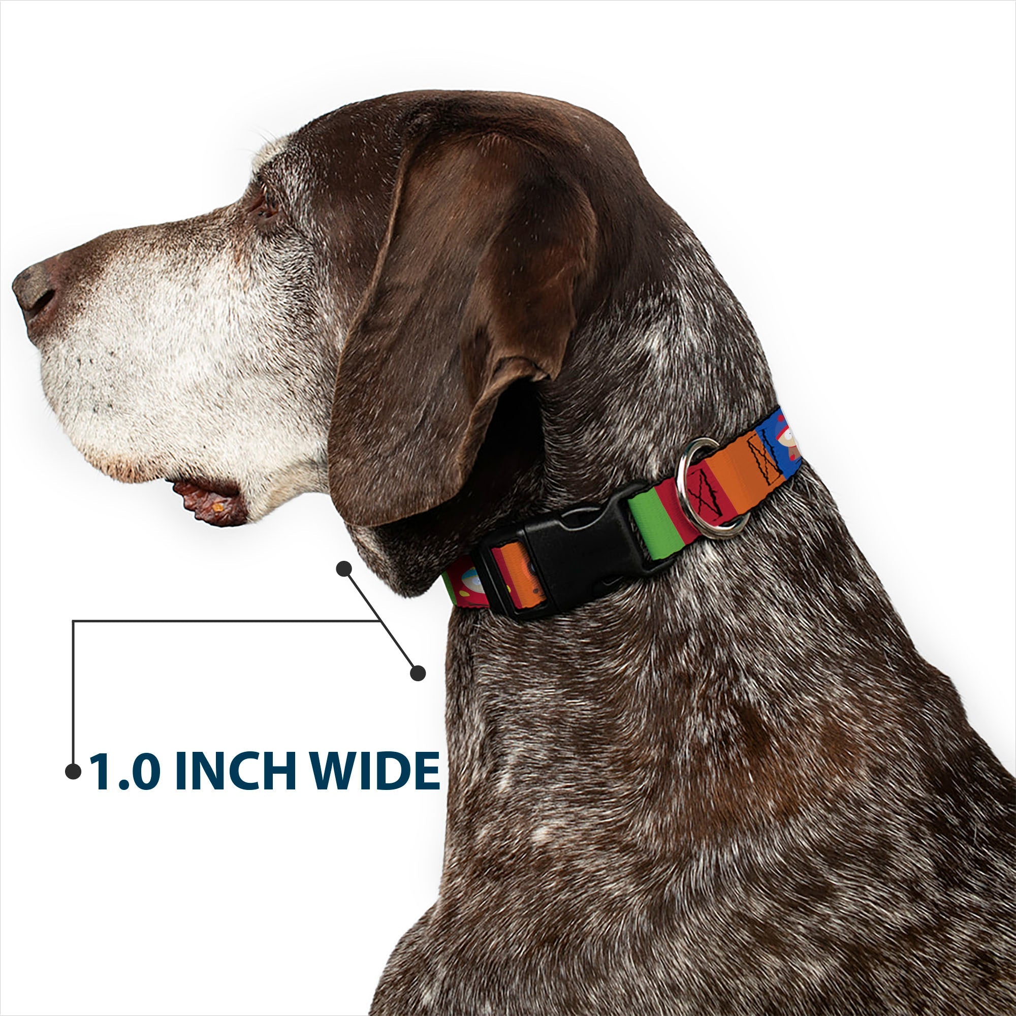 Plastic Clip Collar - South Park Boys Pose Blocks Multi Color