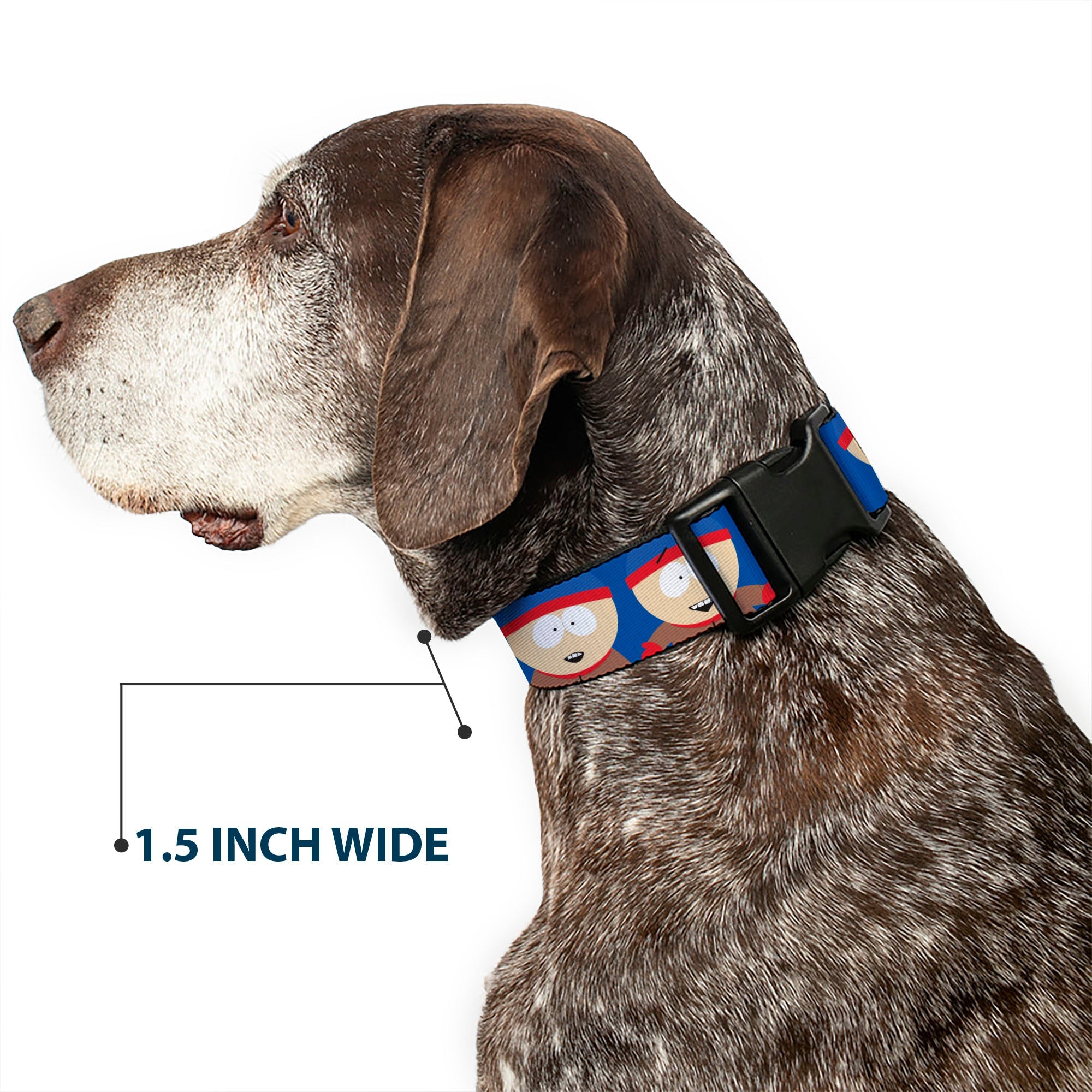 Plastic Clip Collar - South Park Stan Expressions Blue
